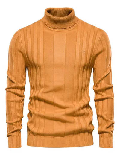 Classic ribbed turtleneck for men