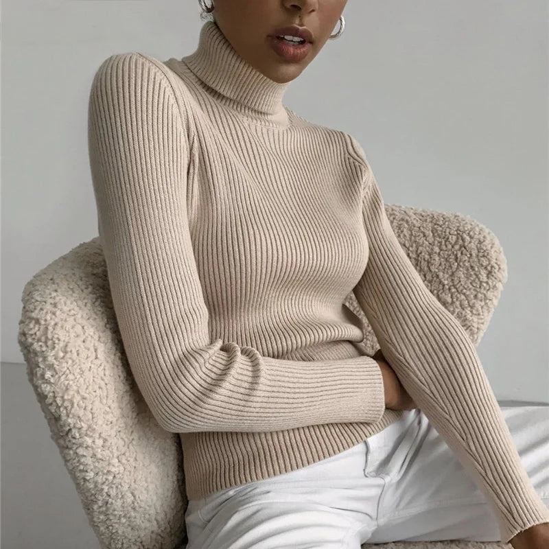 Helen Knitted Turtleneck Sweater