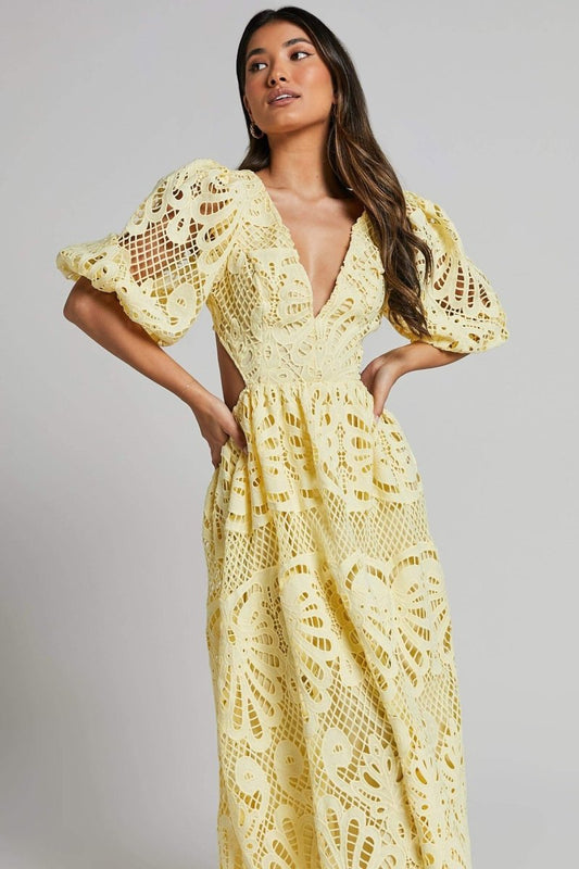 Sandra Embroidered Lace Cut-out Midi Dress